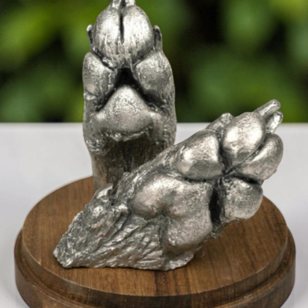 Pet Castings from Lasting Memories