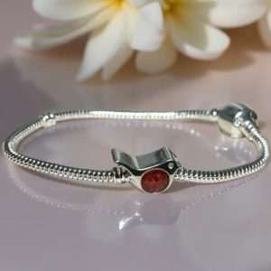 Bracelet Charms